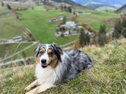 Top Hinterthal