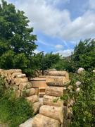 Plantkot, a cozy apartment full of plants of tinykot Plantkot, a cozy apartment full of plants of tinykot