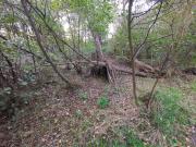 Top Dannemare Top Dannemare