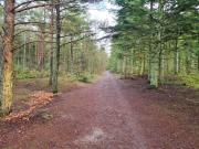 8 person holiday home in Ålbæk-By Traum