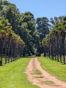 La Cuadra - Puesto de Campo Argentino