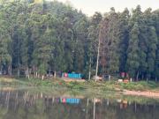 Top Mirik
