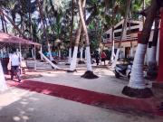 Top Malvan