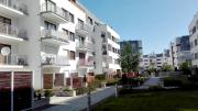 Platan ulChełmońskiego 6B Platan ulChełmońskiego 6B