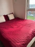 Charming Edinburgh Apartment with Electric Heating Free WiFi