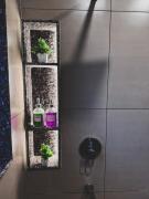 Rangers Villa Boutique Stays