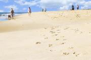 Top Dewey Beach