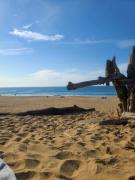 Top Vieux-Boucau-les-Bains