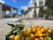 Rafaelia Premium villa with private pool in Drepano Rafaelia Premium villa with private pool in Drepano