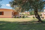 Top San Teodoro