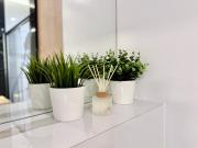 Top Wrocław Top Wrocław