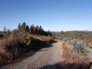 Top Mação Top Mação