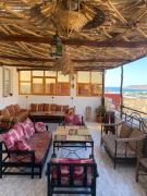 Red Carpet Surf Camp