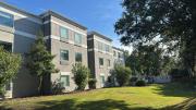 Top Savannah