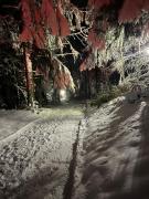 Top Kościelisko Top Kościelisko