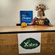 Top San Cristóbal de Las Casas