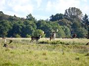 Top Middelfart