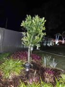 Sirenia beach retreat