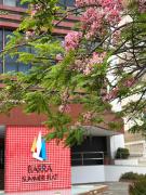 Flat quarto e sala na Barra