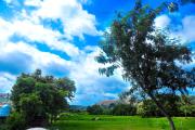 Top New Hampi