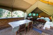 Wilderness Forest Glamping