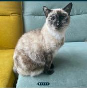 Top Montauban-de-Bretagne