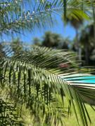 Top Paso de la Patria