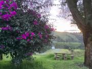 Top Estación El Salto