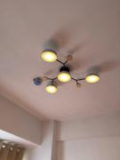 Urban Deca Shaw - PaulBerts Cabins II