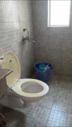 Top Noida