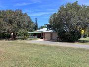 Paperbarks on Mullaway