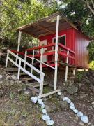 Top Linares Top Linares