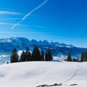 Ferienwohnung mit Sauna in Wildhaus