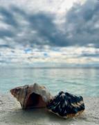 Casa Vivienne Exclusive Beach House