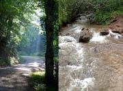 Top Bryson City
