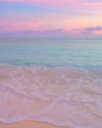 Apartment in Lechería, Beach, Marina, Shopping