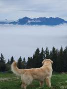 appartement pied des pistes Allevard