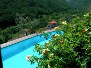 Paradiset THE GREEN NEST