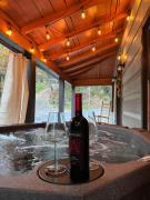 Top Ellijay