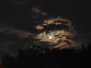 Vastness - Stay under the stars in Auroville