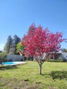 Top General Rodríguez