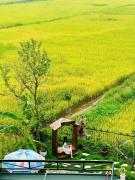 Top Ninh Binh