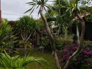 Top Nusa Lembongan