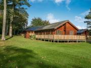 The Gallery The Gallery