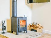 Pipistrelle - Uk30758