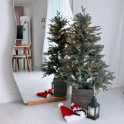 Tidy Stay Dongdaemun