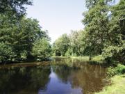 Top Hevingham