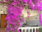 Top San Miguel de Salinas