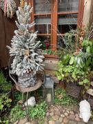 Gîte de caractère au calme , proche quartier historique, Au Merlenchanteur