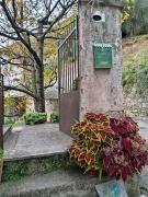 Top Nasino Top Nasino